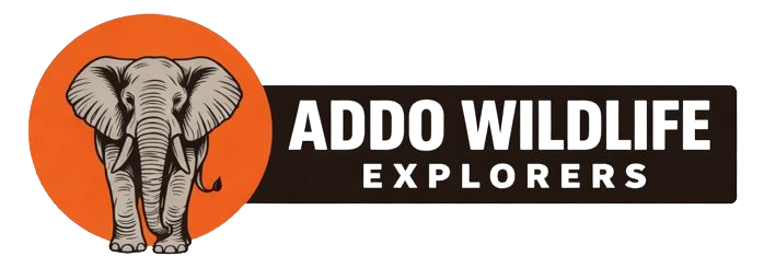 Addo Wildlife Explorers